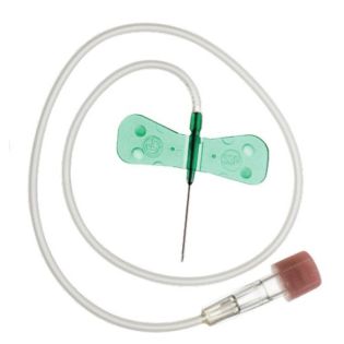Surflo Winged Infusion Set 21G X + Green