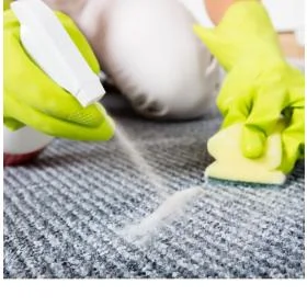 Enzyme Cleaners