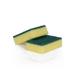 Sponge Backed Scourers